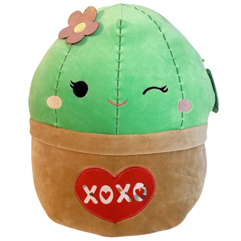 Squishmallows Shadi Cactus 14 in Valentines Plush Toy XOXO Heart NWT